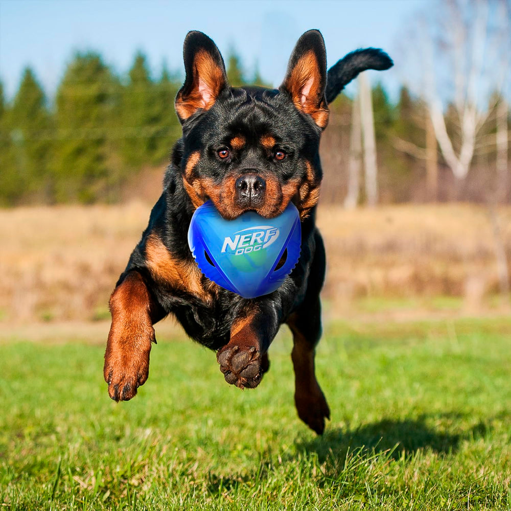 Nerf Dog Pelota suave y duradera para juego dentro de casa.