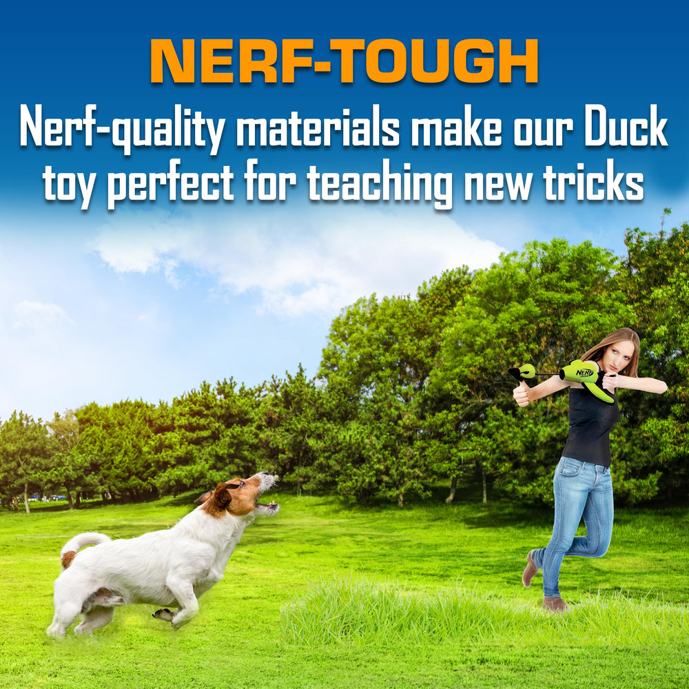 Nerf Dog Trackshot Cobertura Poliuretano Resistente: soporta dientes y mordiscos.