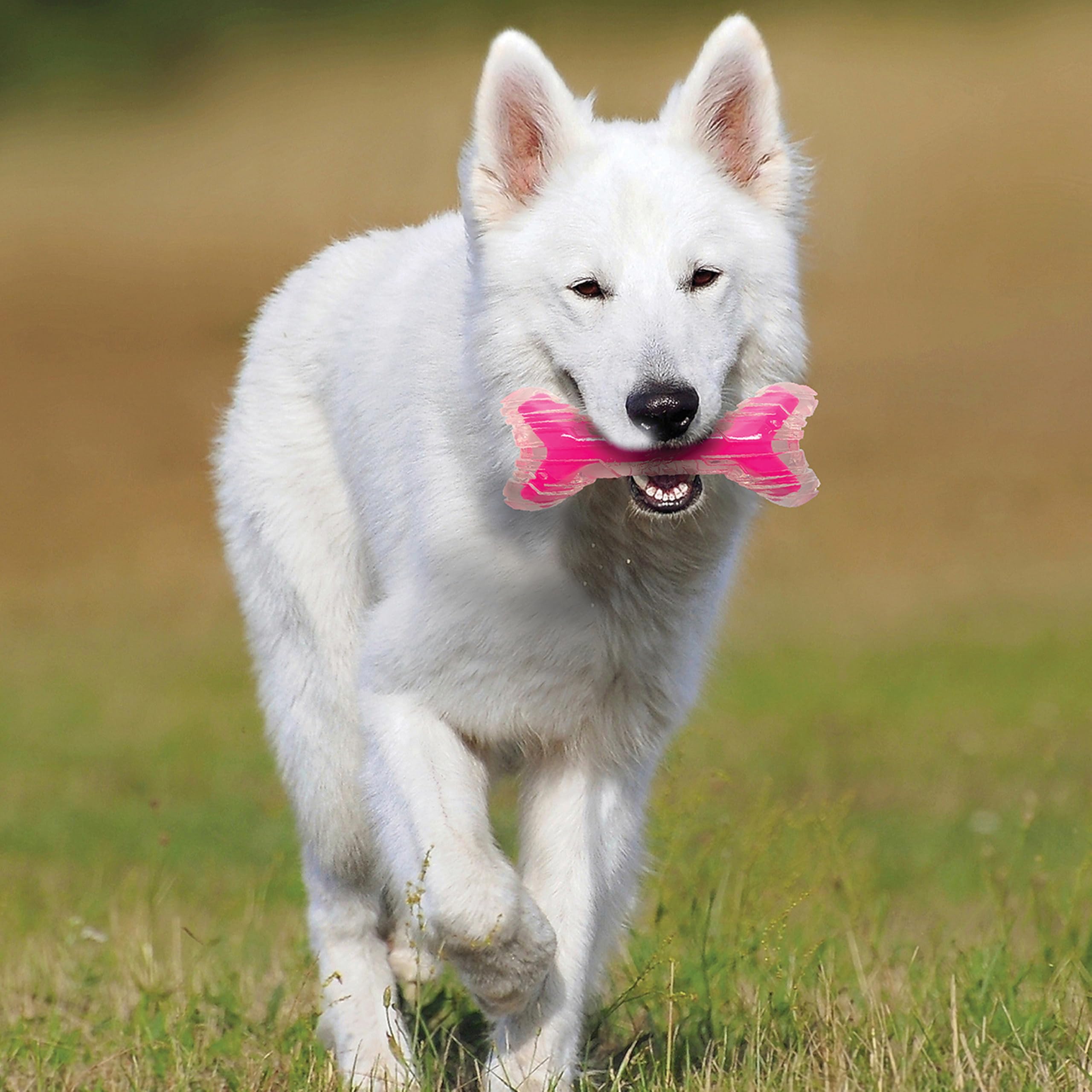 Nerf juguete de hueso para perros en rosa transparente