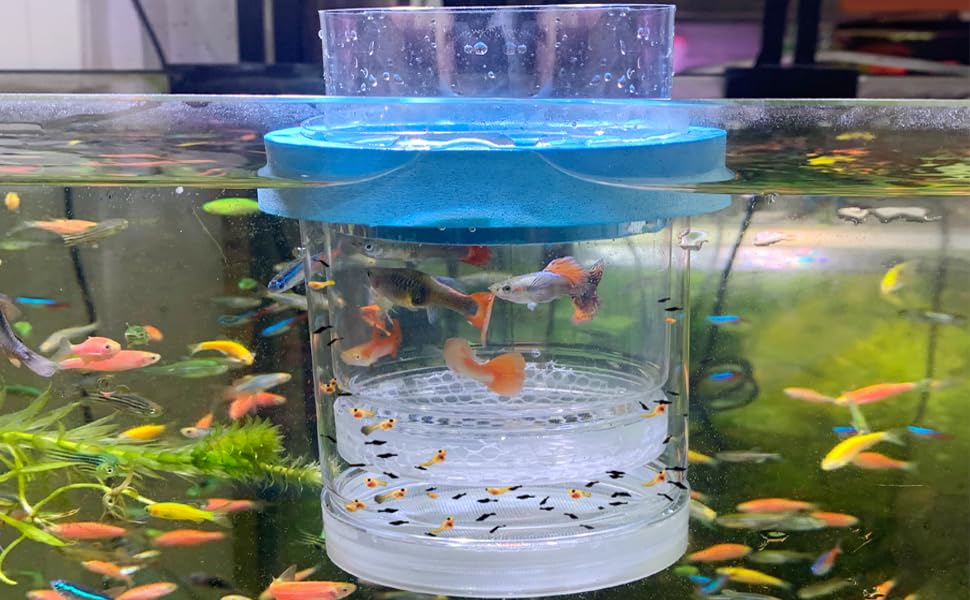 NestBasics middlefloatingbreederbox: fácil de usar y limpiar para mantenimiento del acuario