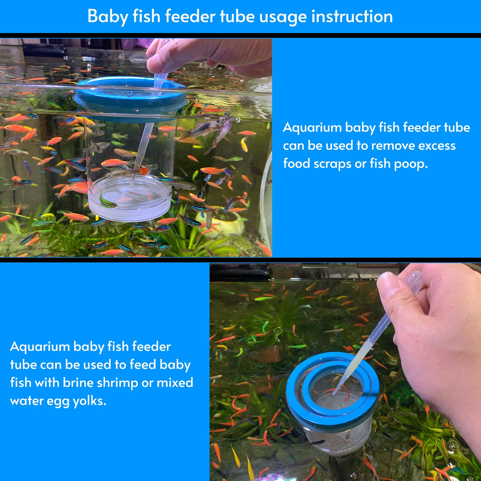 NestBasics uso múltiple: aislamiento e incubación en acuario