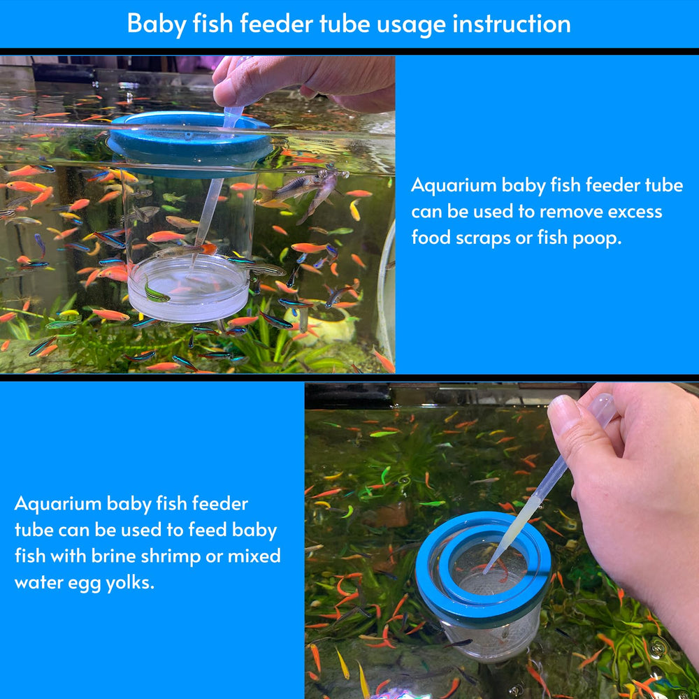 NestBasics uso múltiple: aislamiento e incubación en acuario