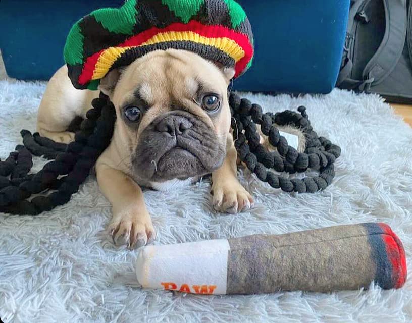 Nestpark Doggy Doobie design amusant et coloré, facile à repérer lors des jeux.