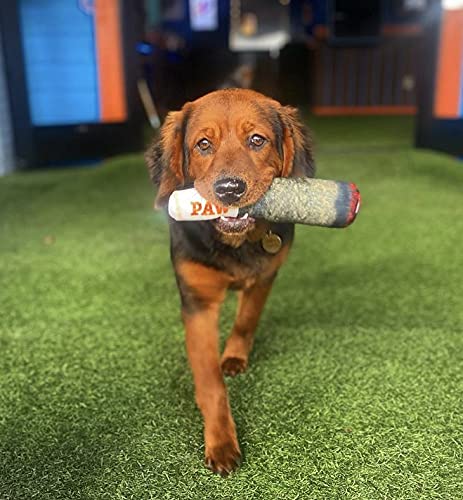 Nestpark Doggy Doobie parfait comme cadeau d'anniversaire canin ou fête.