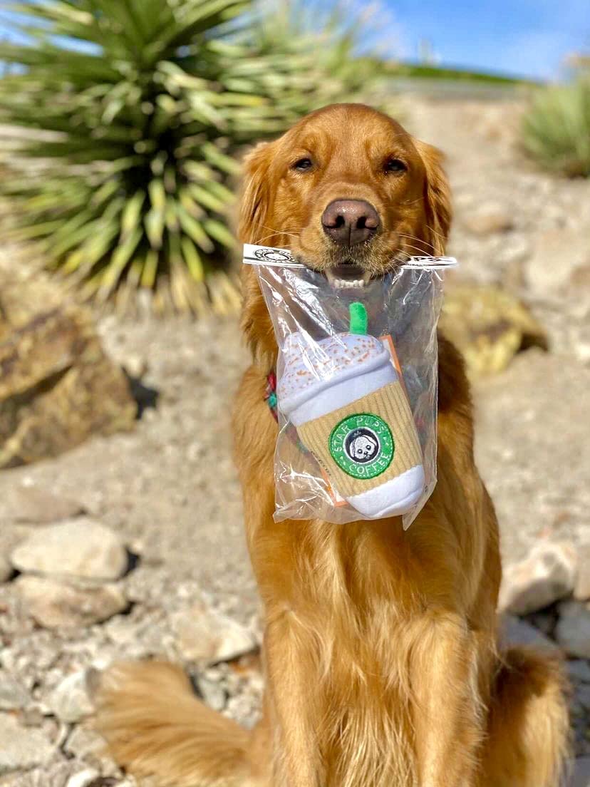 Nestpark Parody Star Pups: compañero divertido para el día a día del perro.