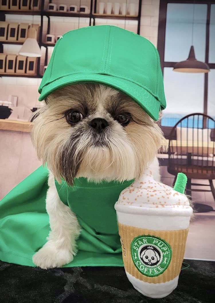 Nestpark Parody Star Pups: tamaño perfecto para perros pequeños, medianos y grandes.