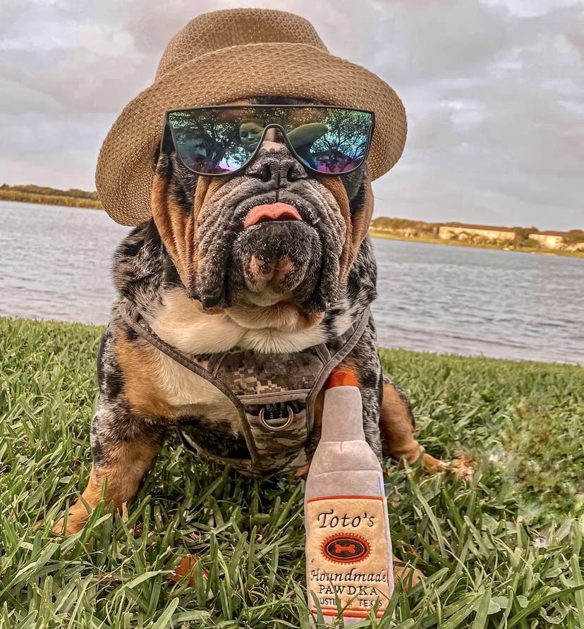 Nestpark Toto juguete divertido para fiestas de cumpleaños de perros.