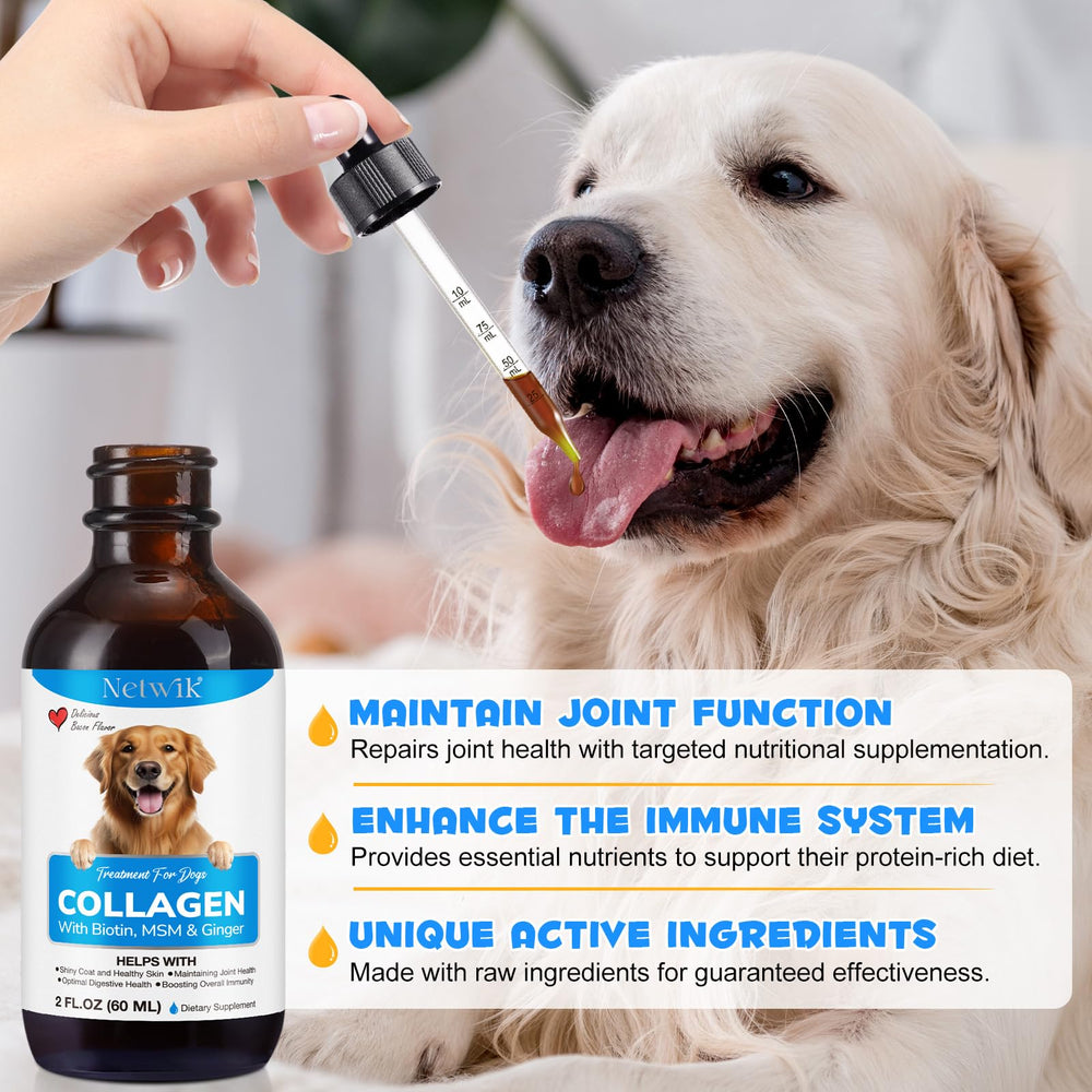 Netwik Colágeno para perros, jengibre-digestivo, apoya la digestión suave.
