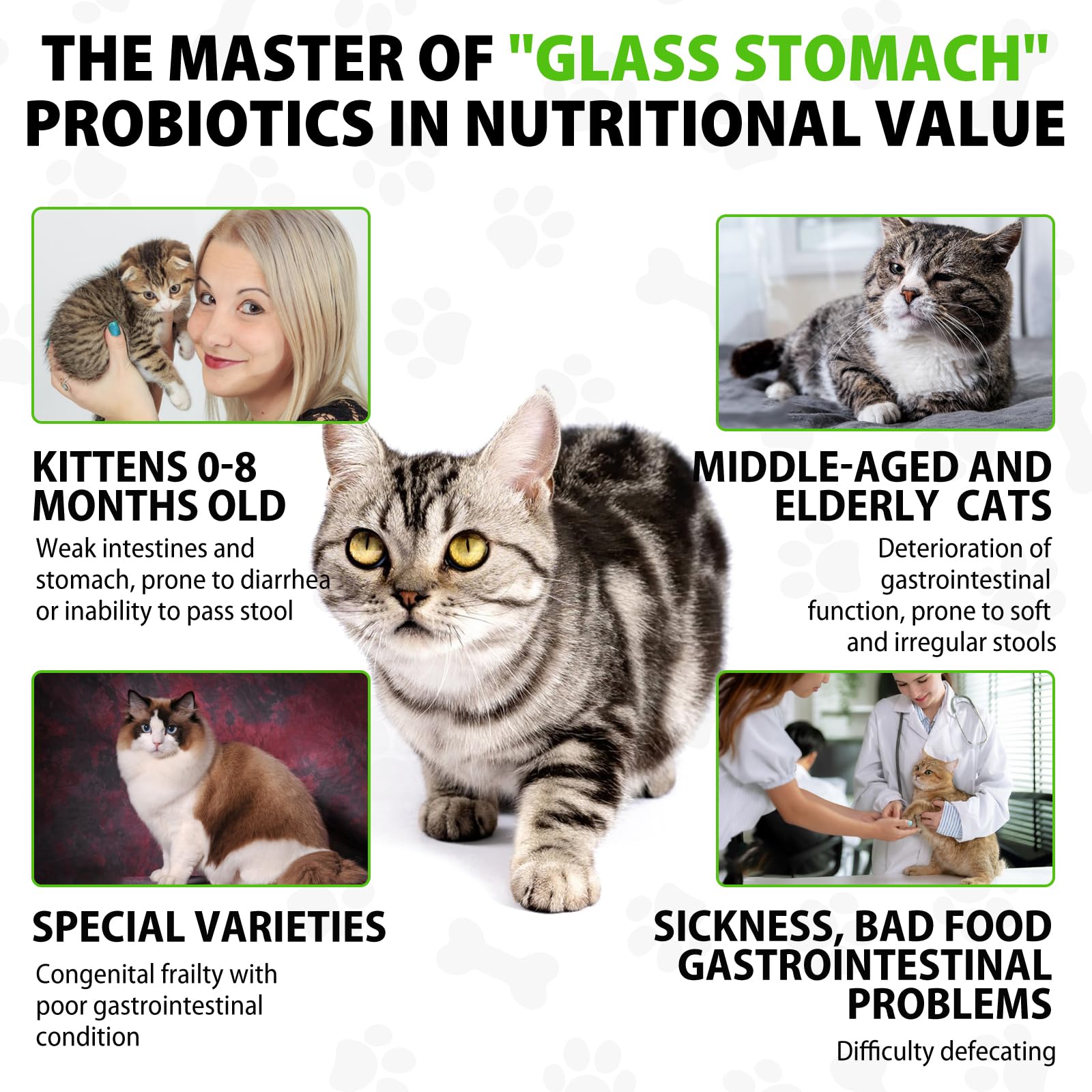 Netwik Laxante Natural Gatos Gotero: dosificación precisa para comodidad diaria.