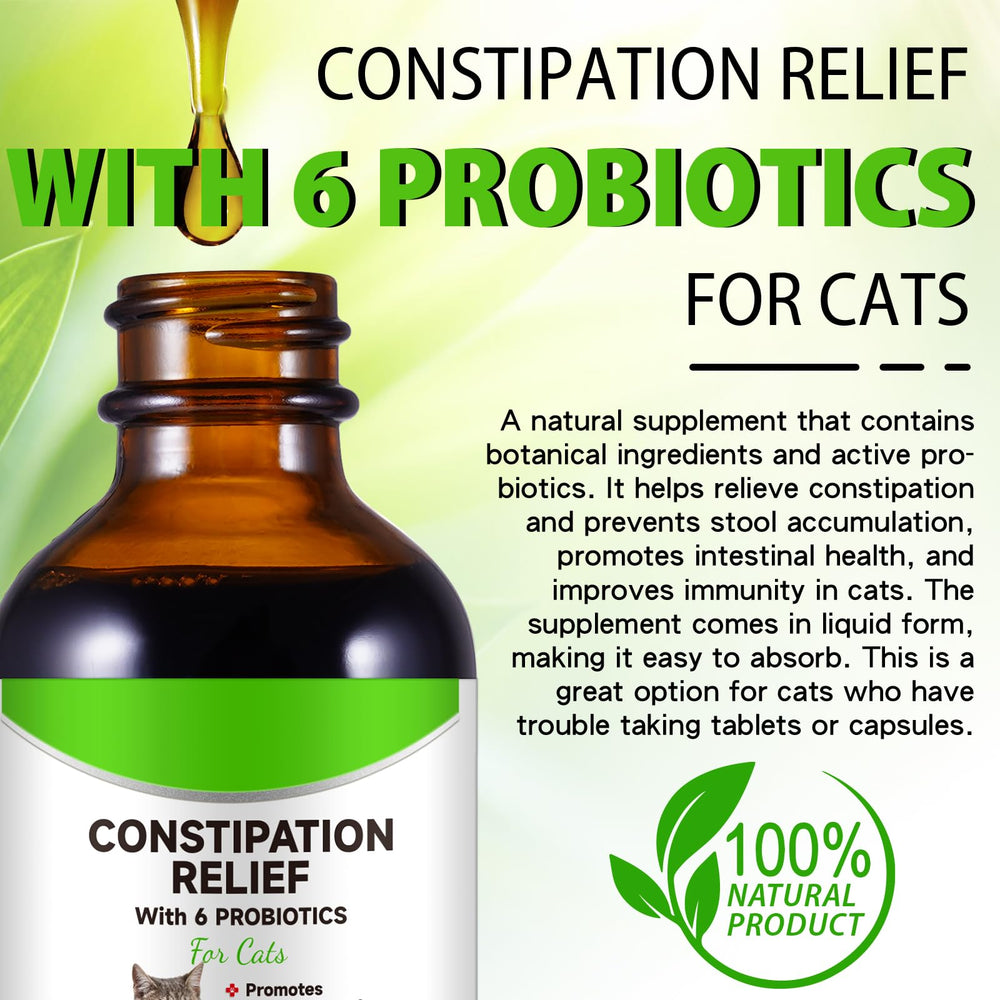 Netwik Probioticos 6 Digestivo: apoyo suave para el sistema digestivo felino.