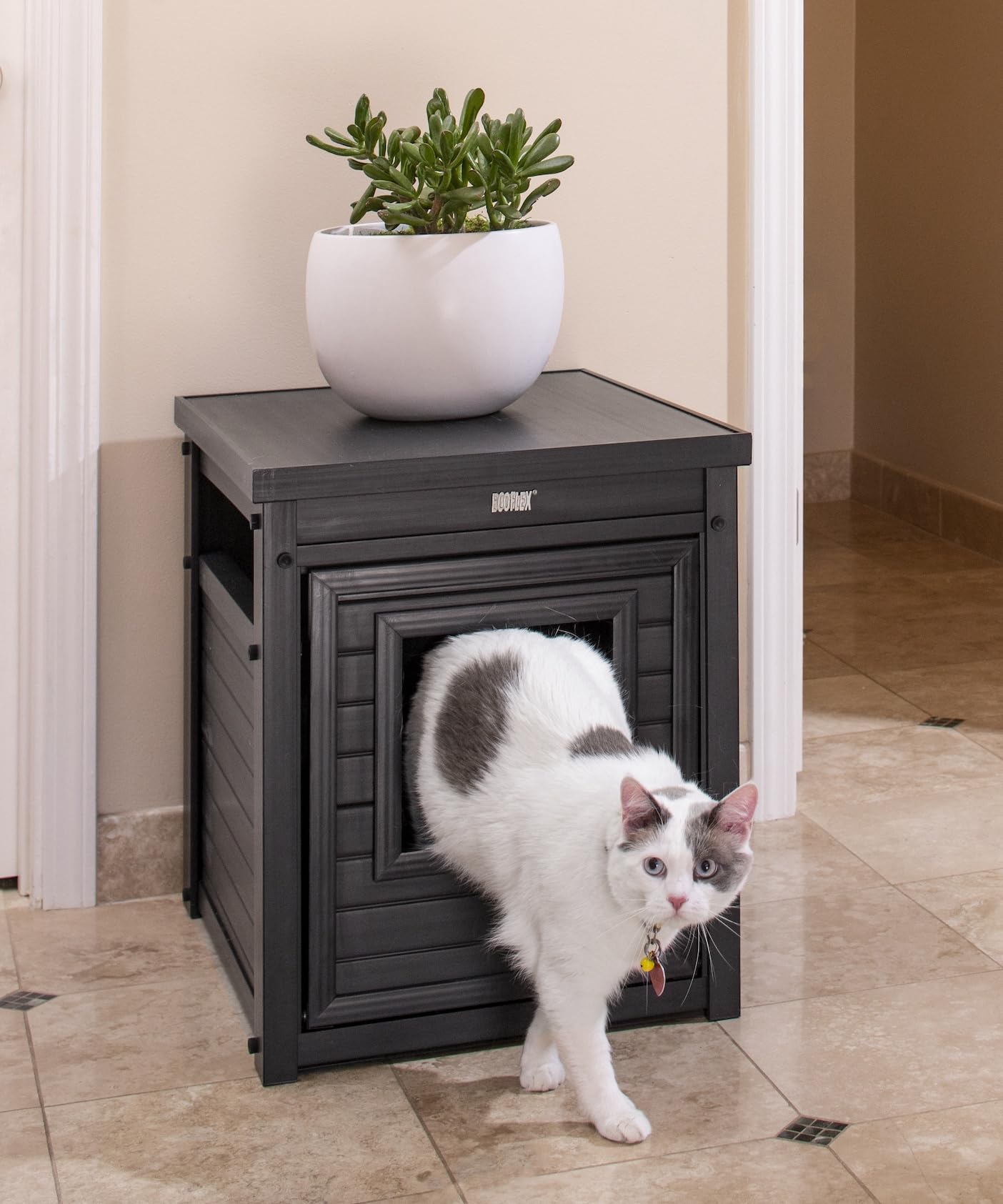 New Age Pet Litter Loo, tamaño estándar compatible con cajas de arena.