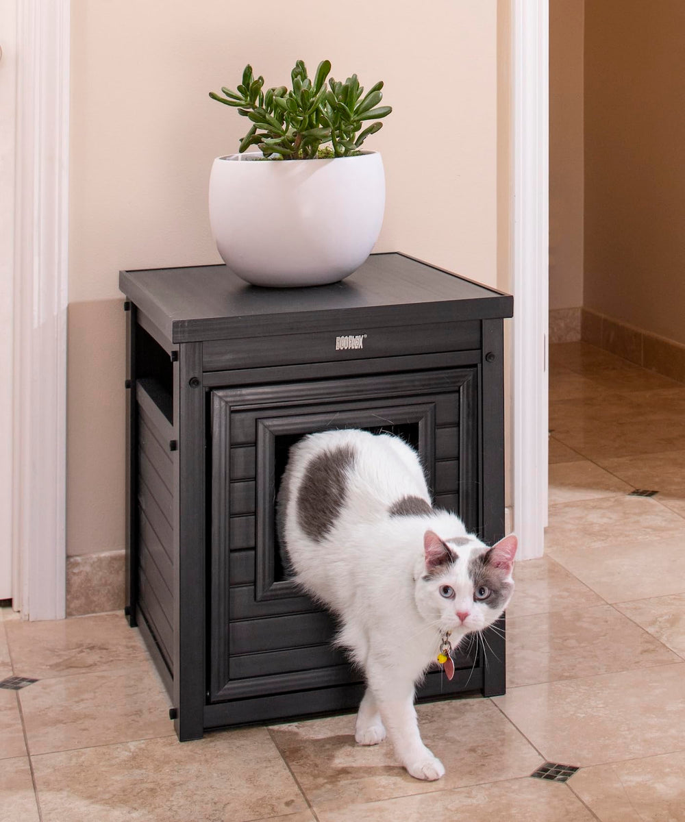 New Age Pet Litter Loo, tamaño estándar compatible con cajas de arena.