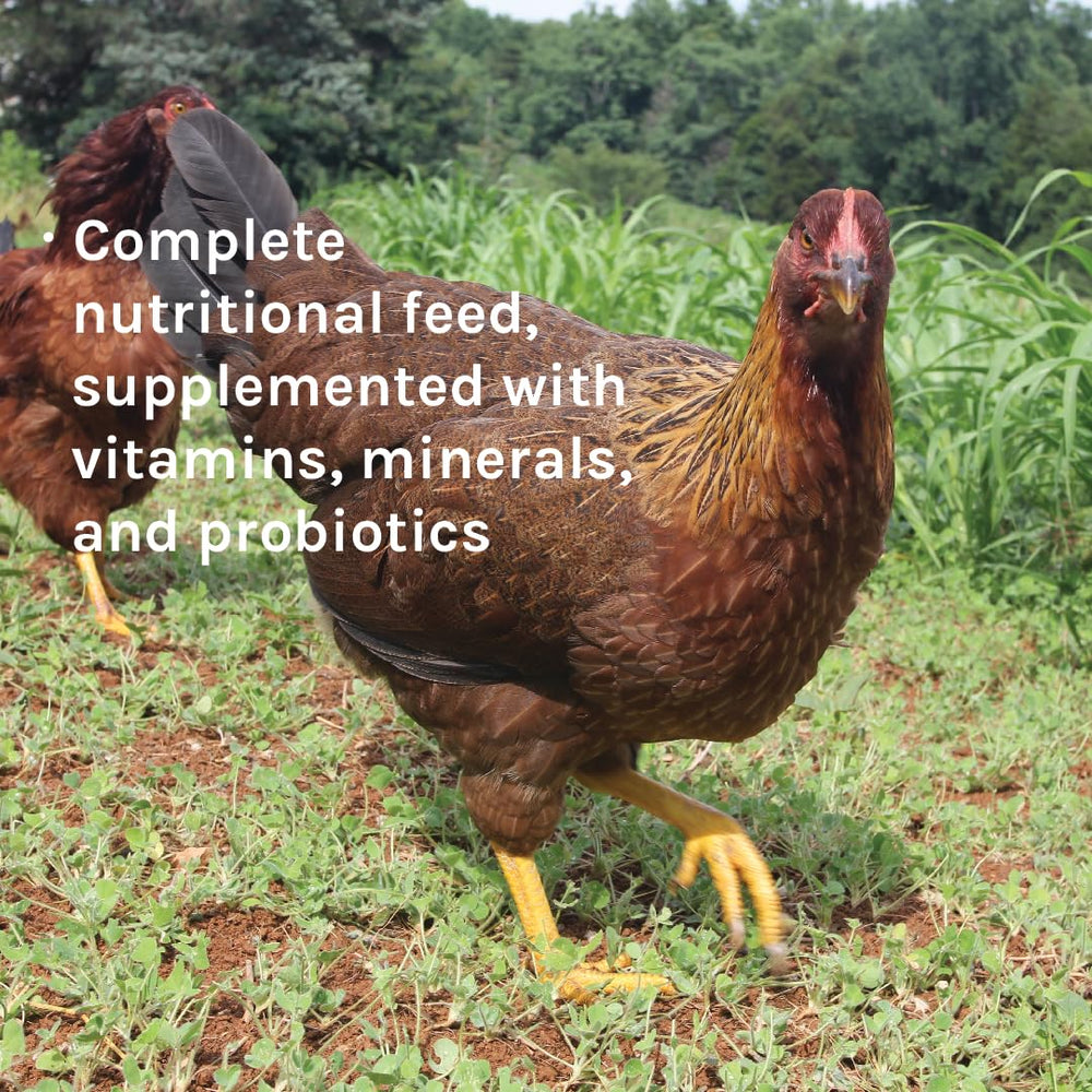 New Country Organics Aves sanas y digestión equilibrada con probióticos.