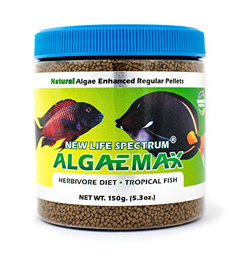 Mezcla de algas de Algaemax mejora color y vitalidad