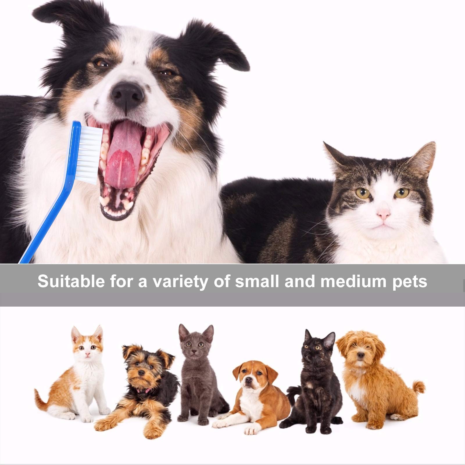 Newday cuidado bucal todo en uno para perros y gatos