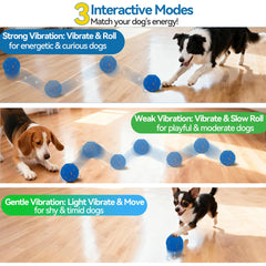 Newget bola rodante para perros, ideal para juego activo dentro de casa