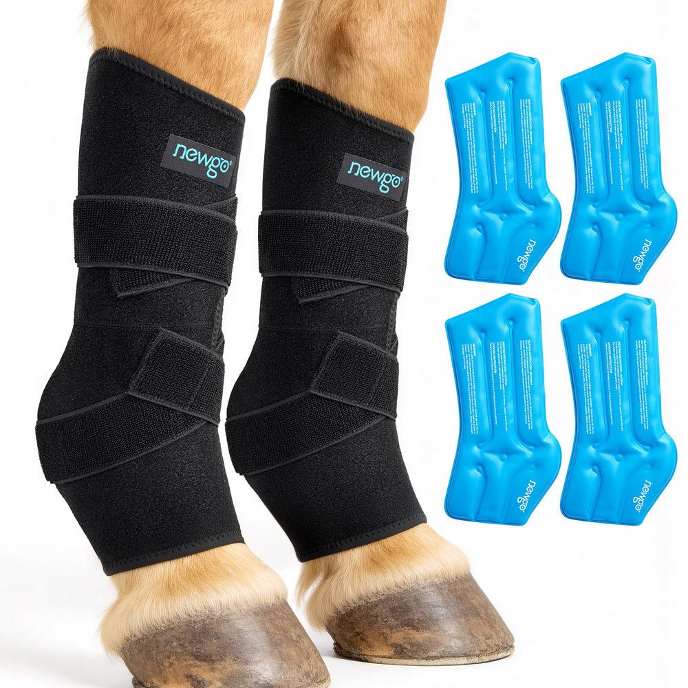 NEWGO Caballo conjunto de hielo banda de pierna para enfriamiento localizado tras entrenamiento intenso