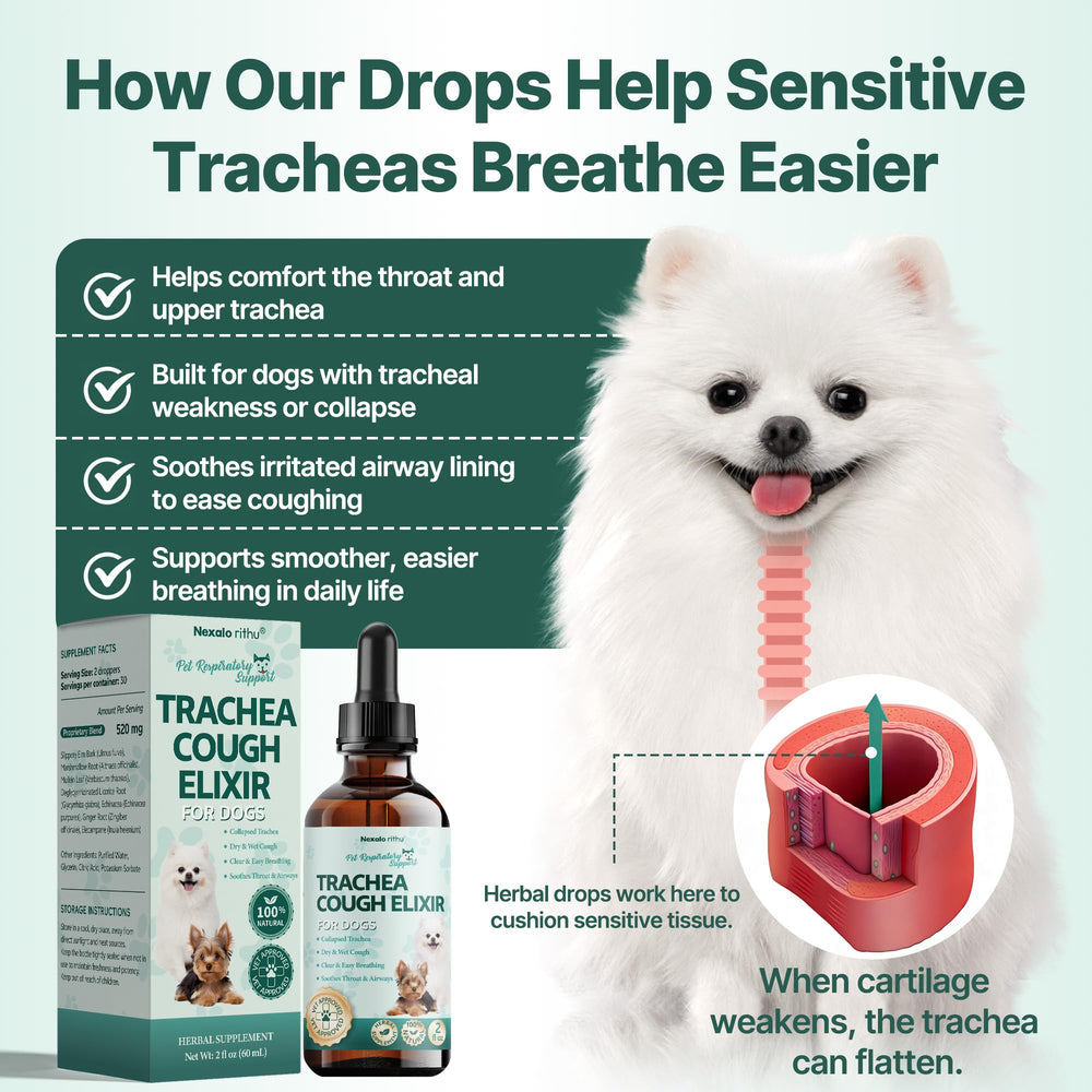 Mezcla herbal Nexalo Rithu para inmunidad respiratoria de perros.