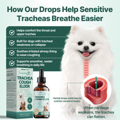 Mezcla herbal Nexalo Rithu para inmunidad respiratoria de perros.
