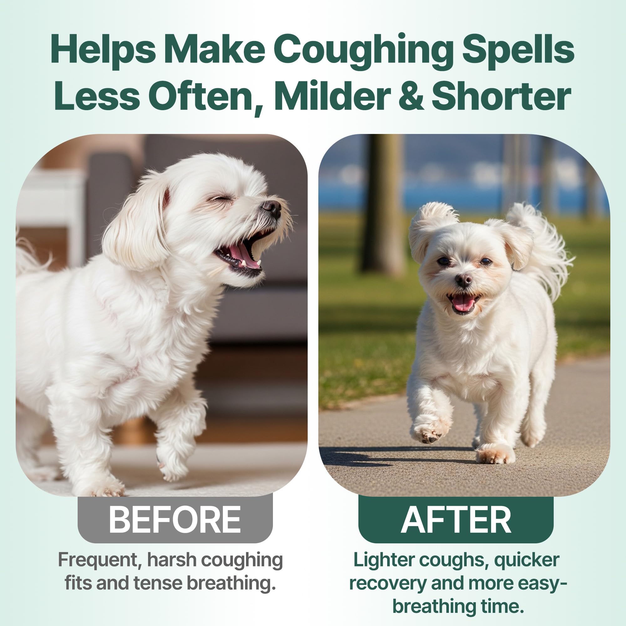 Respiración suave para perros pequeños con Nexalo Rithu.