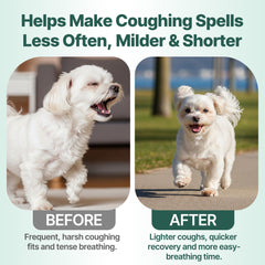 Respiración suave para perros pequeños con Nexalo Rithu.
