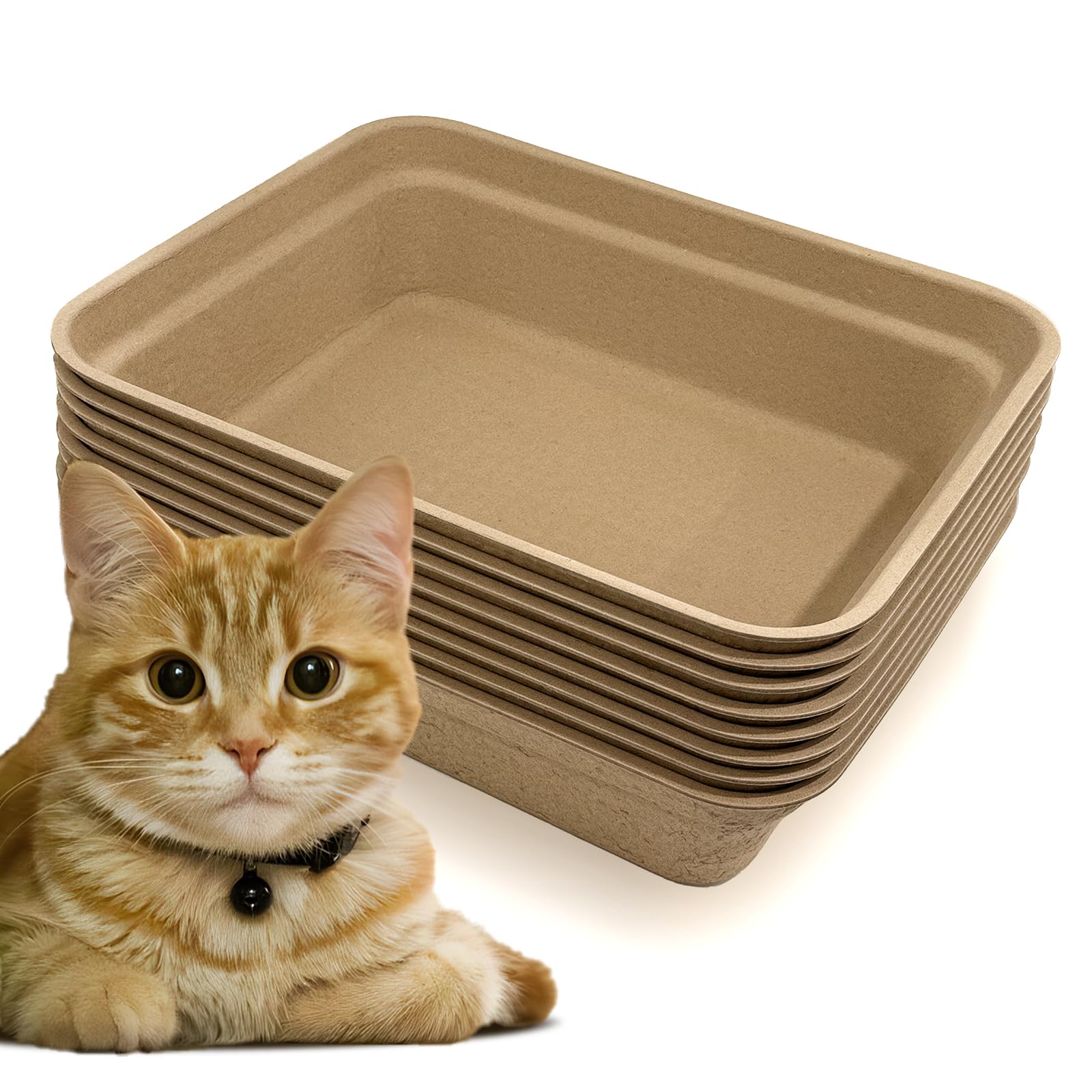 Nexboraque ocho unidades, vista general de las bandejas desechables para gatos.