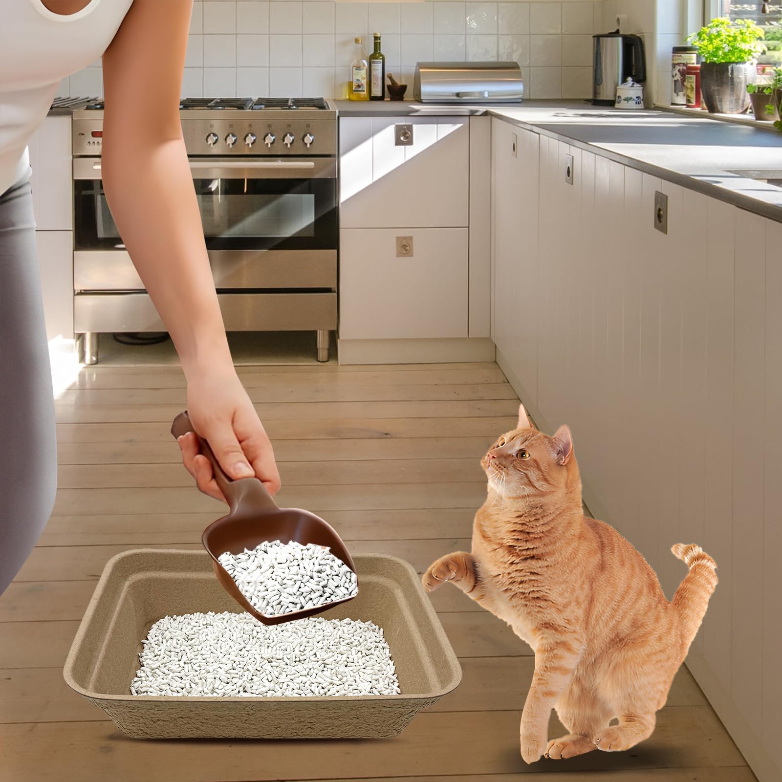 Nexboraque sirve como forro de caja de arena para mascotas.