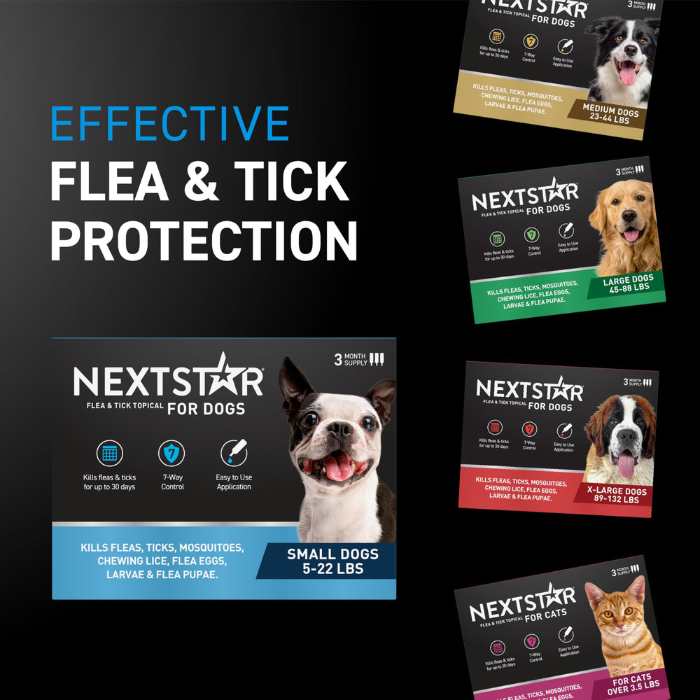 NEXTSTAR inicia protección en minutos; efecto en 15 minutos