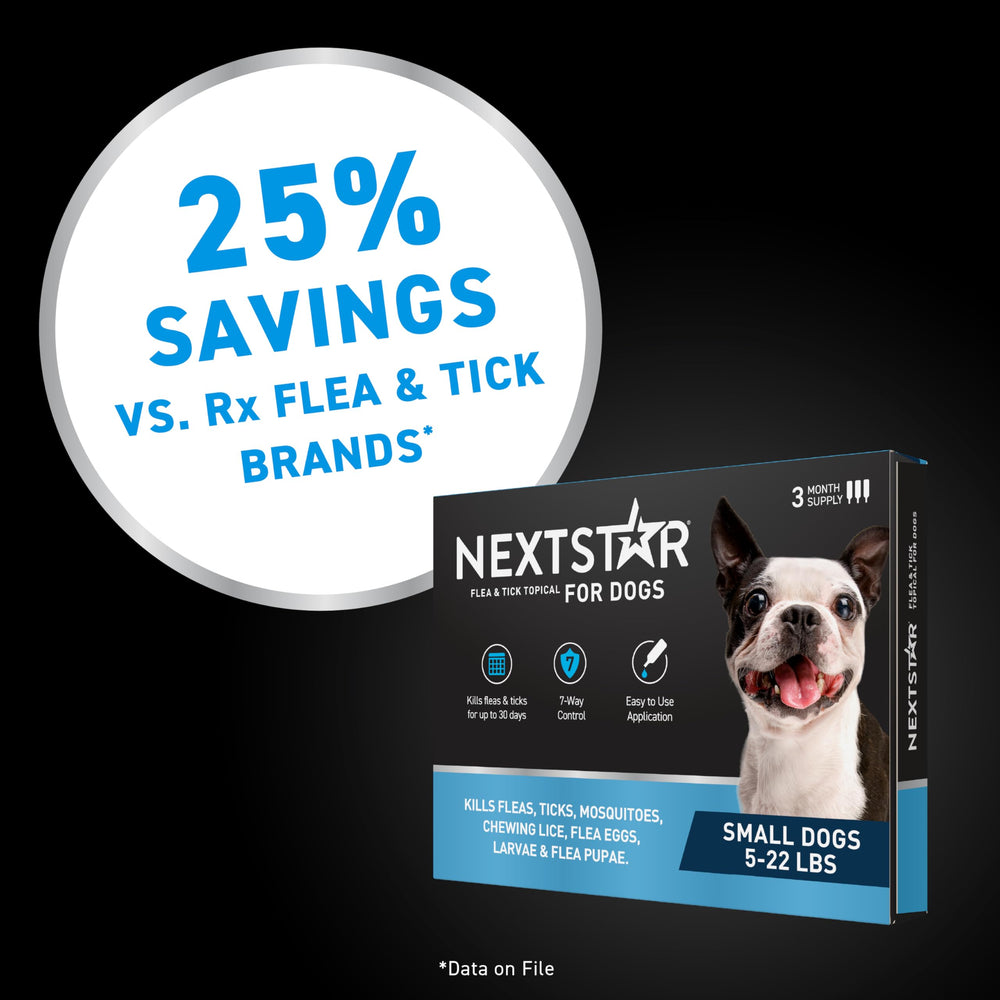 NEXTSTAR atención al cliente dedicada si no quedas satisfecho