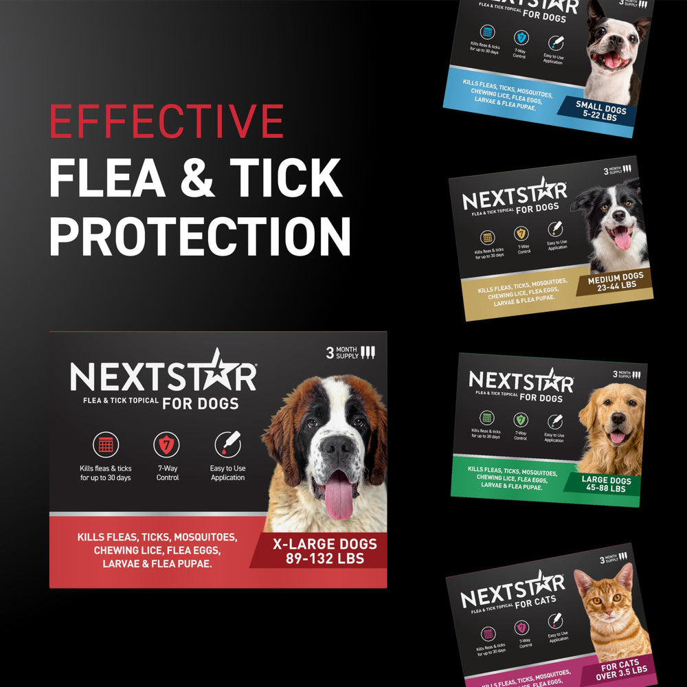Interrumpe el ciclo de vida de las pulgas con NEXTSTAR.