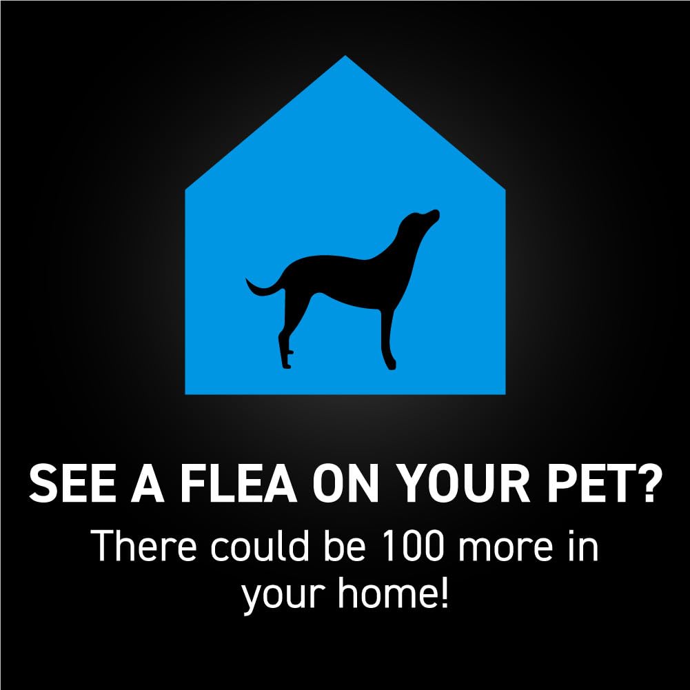 NEXTSTAR sin receta: protección desde casa para perros