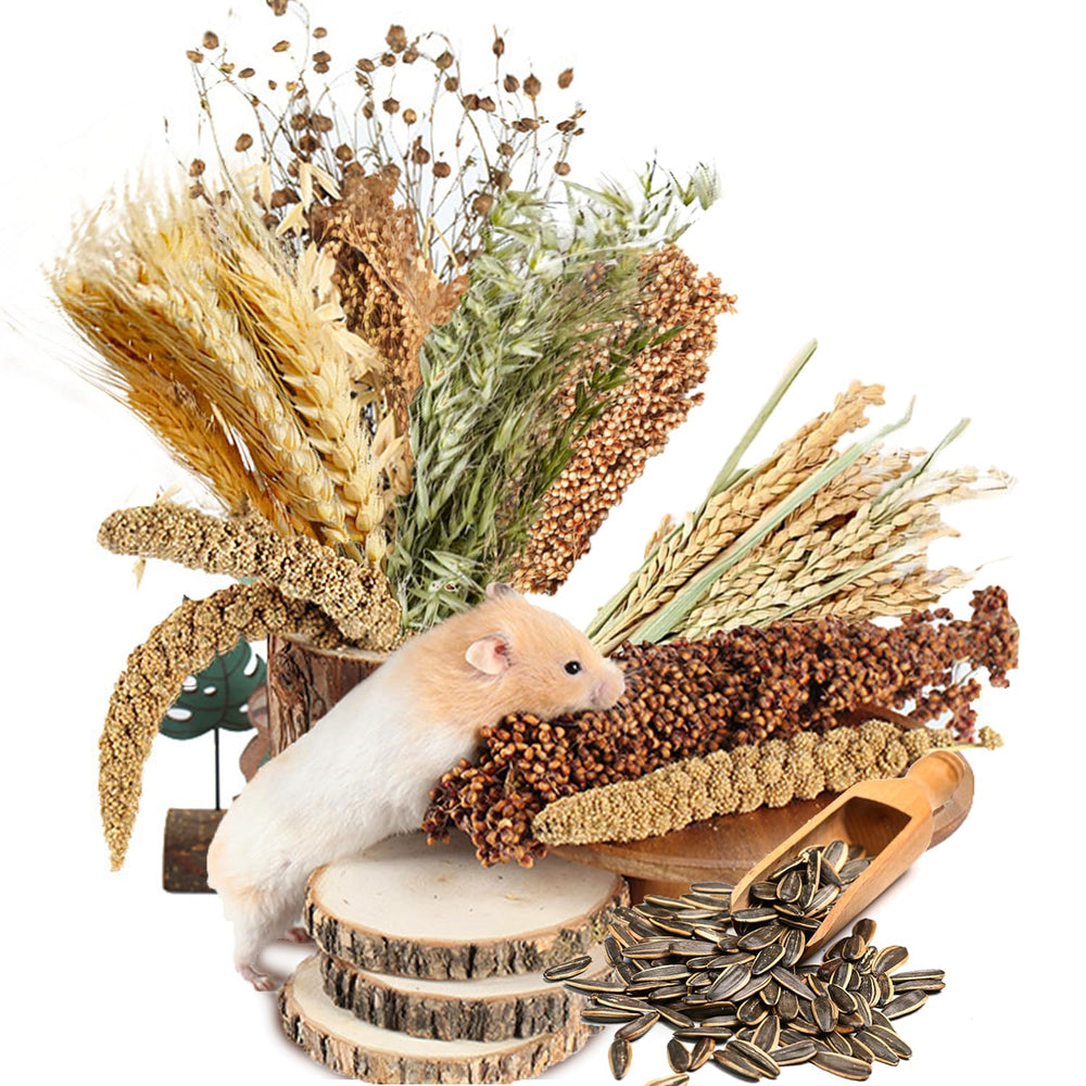 Nicerinc Pet cama de grano con flor: decoración atractiva para el hábitat del hámster