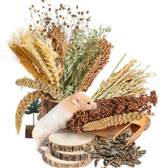 Nicerinc Pet cama de grano con flor: decoración atractiva para el hábitat del hámster