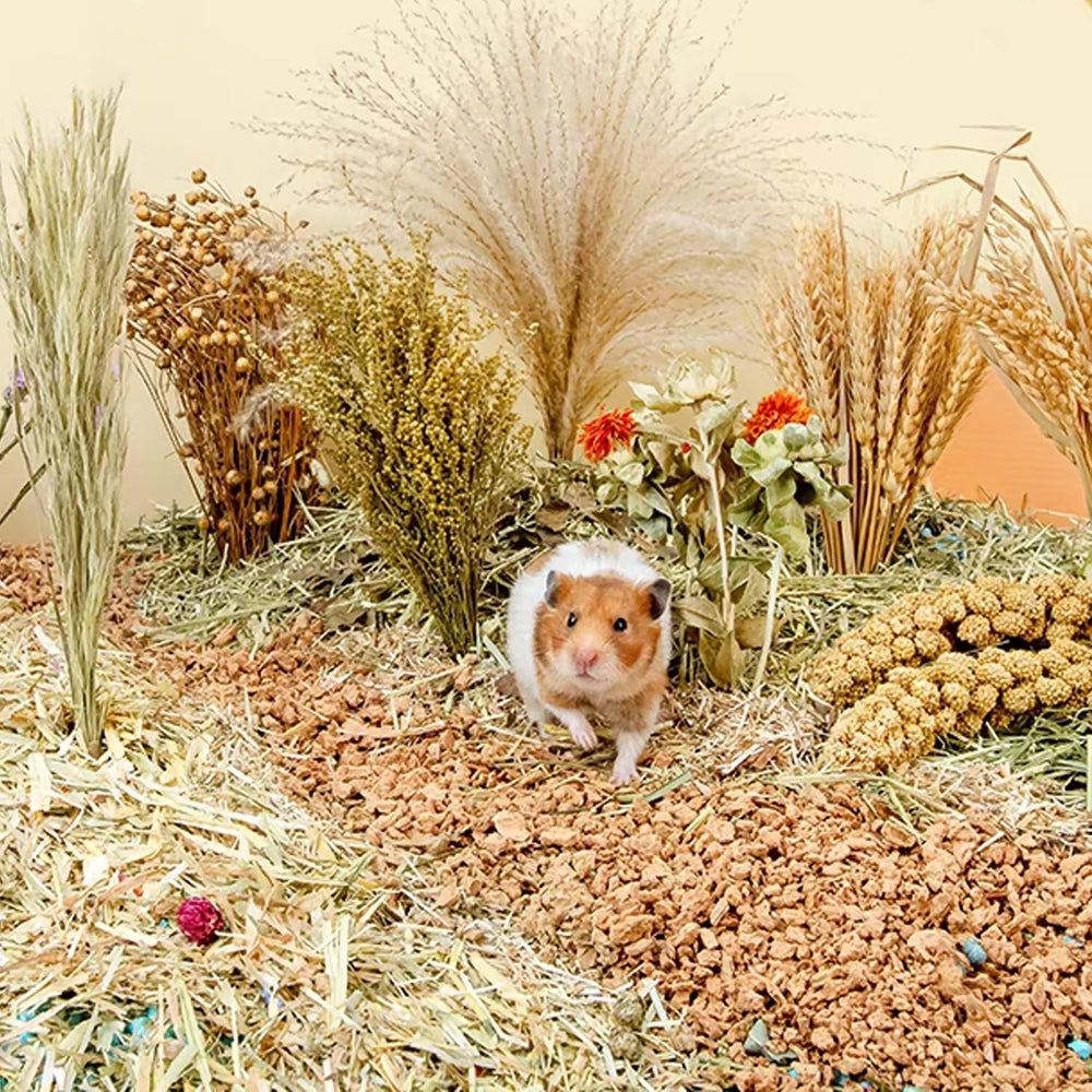 Nicerinc Pet elementos decorativos de grano para hábitat