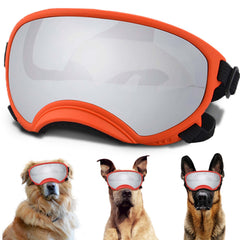 Gafas NICERINC PET para perro con protección UV y ajuste cómodo para paseos.