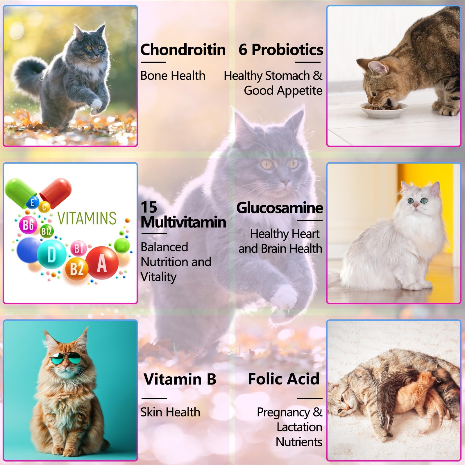 NIFEISHI gotas multivitaminas para gatos, piel suave y pelaje brillante.