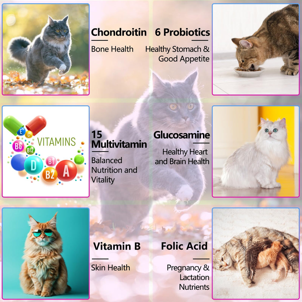 NIFEISHI gotas multivitaminas para gatos, piel suave y pelaje brillante.