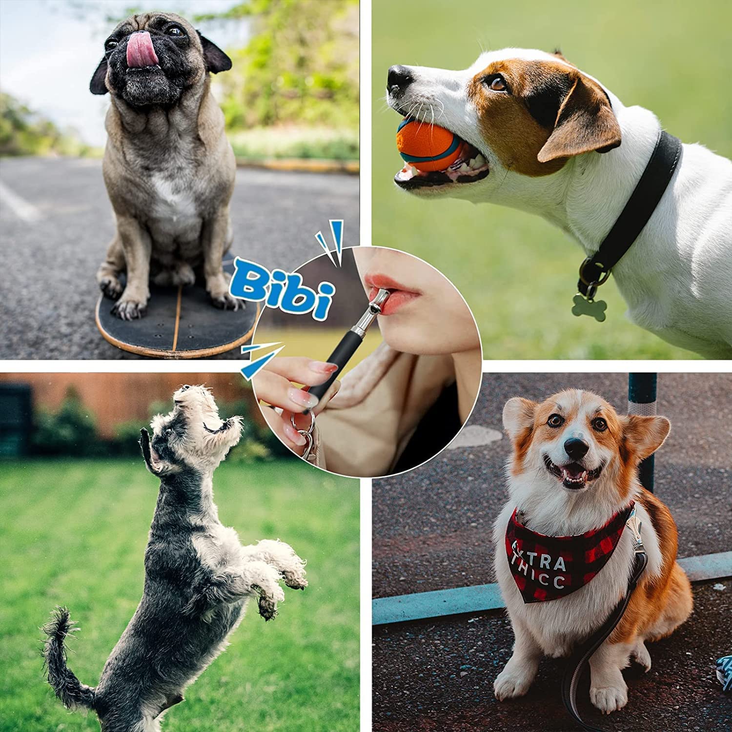 Usos múltiples de NIKIMORE para perros y gatos: entrenamiento y obediencia.