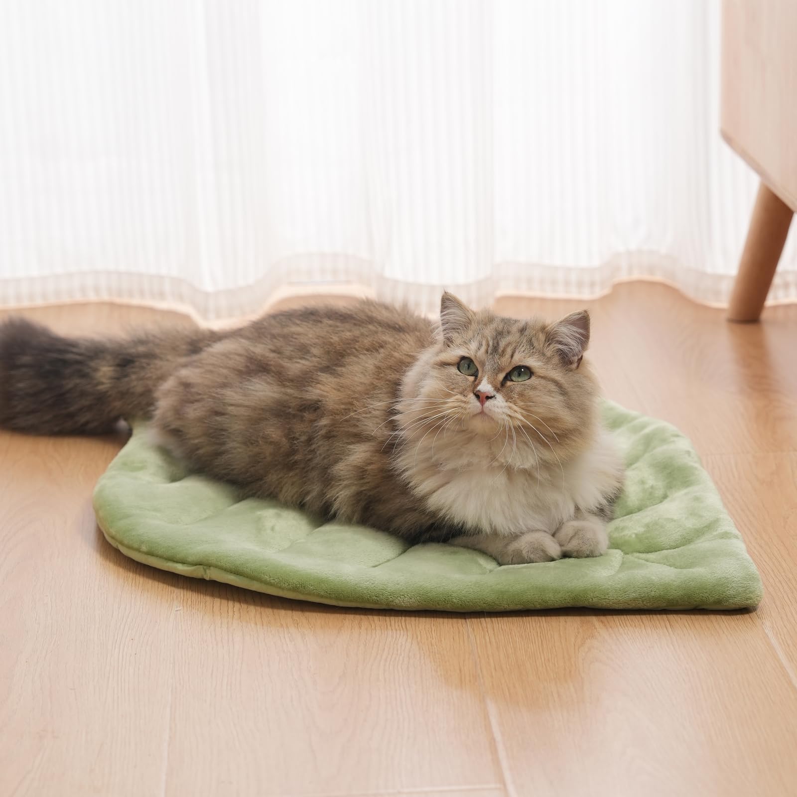 Nimorio Alfombra Gato ideal para rincones de descanso en casa.