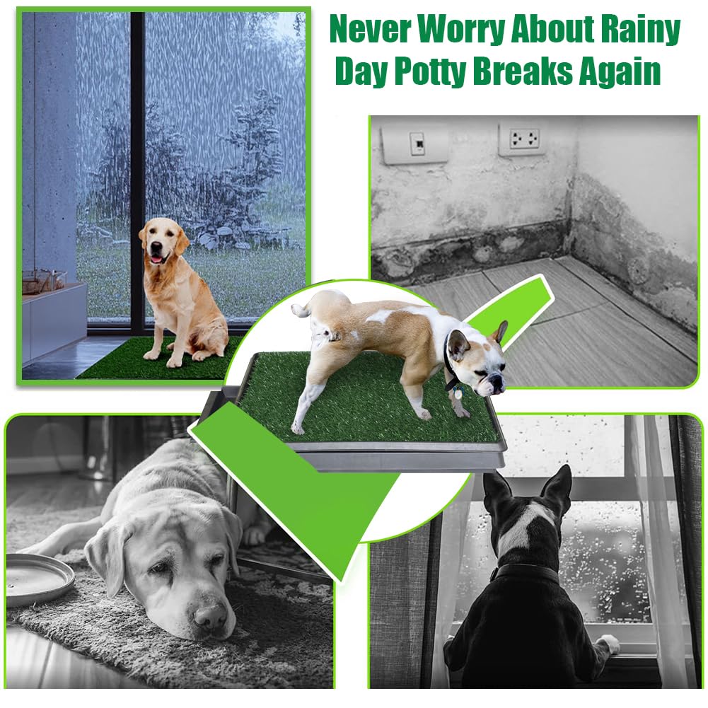 Patio para perros con grama artificial NINXANG, cómodo y resistente