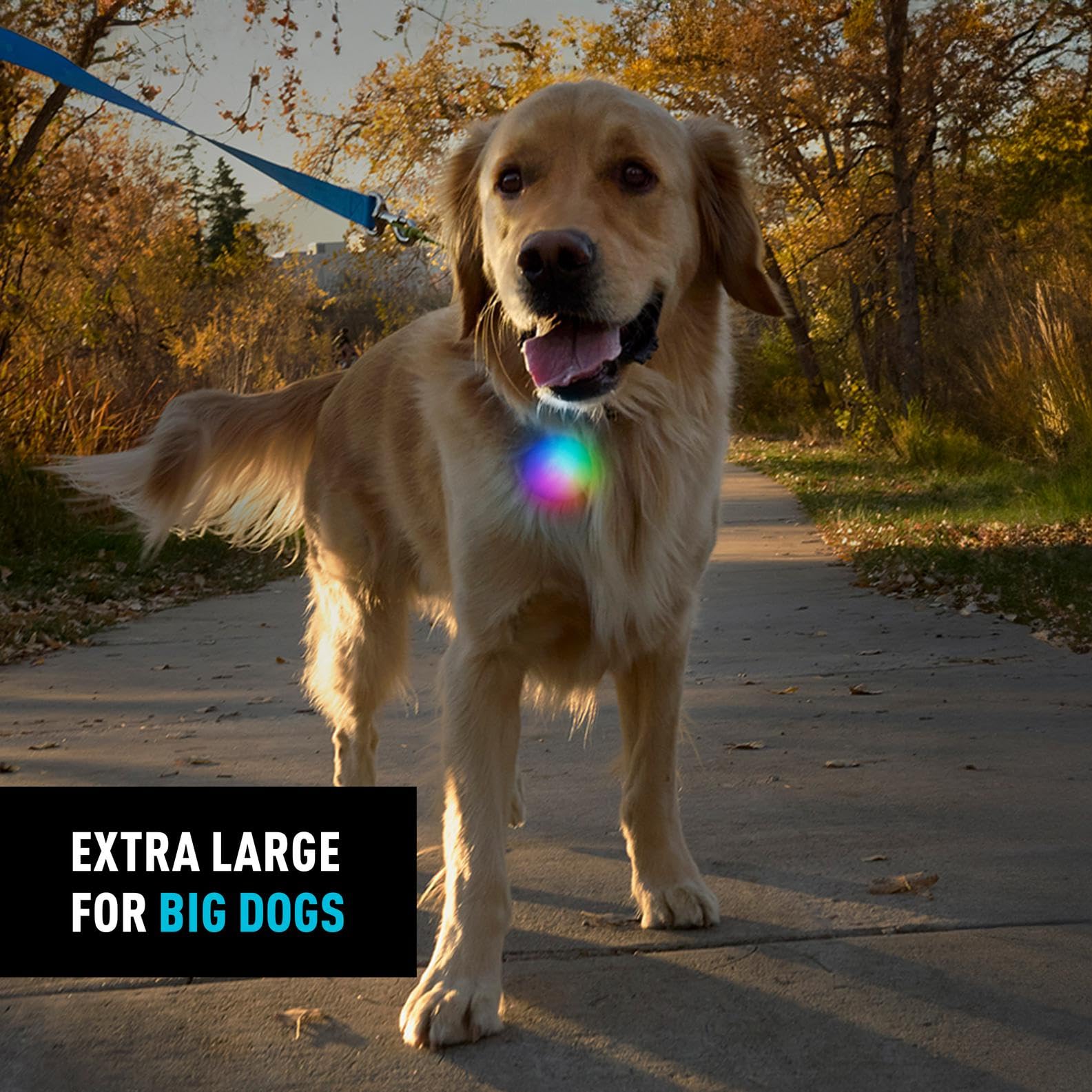 Nite Ize SpotLit XL recargable: iluminación rápida vía micro USB para caminatas