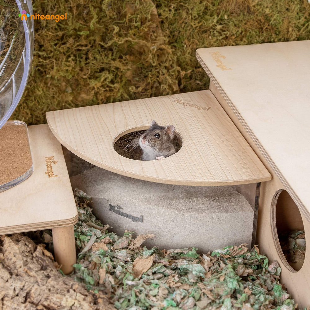 Caja de arena acrílica para hámsters y jerbos facilita ver movimientos