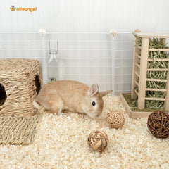 Niteangel Aspen Bedding sin polvo para vías respiratorias sensibles