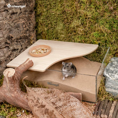 Niteangel caja para hamster espaciosa, más arena para excavar y baño