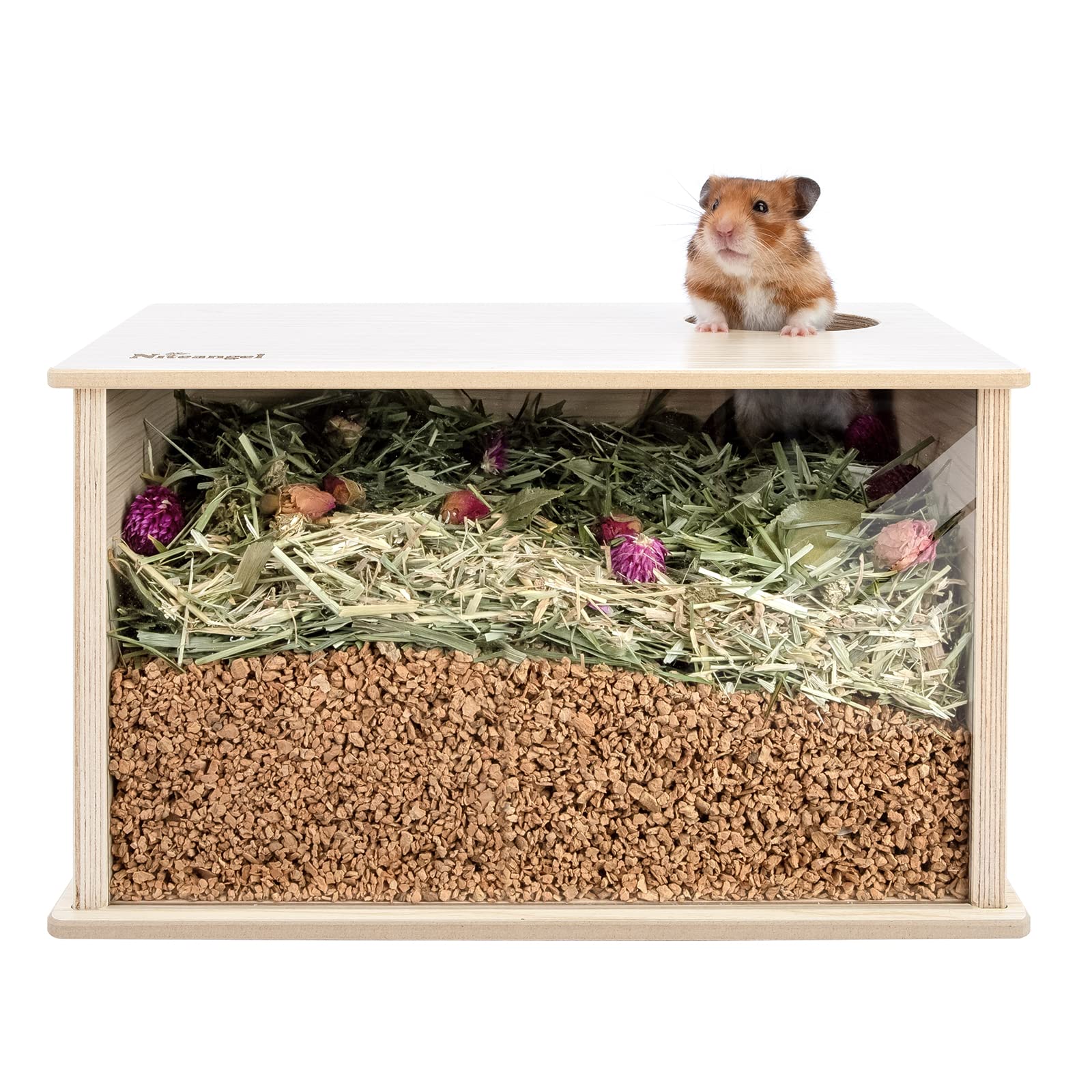 Niteangel caja visible para hámster, enfoque frontal, observa el juego y la exploración del hámster.