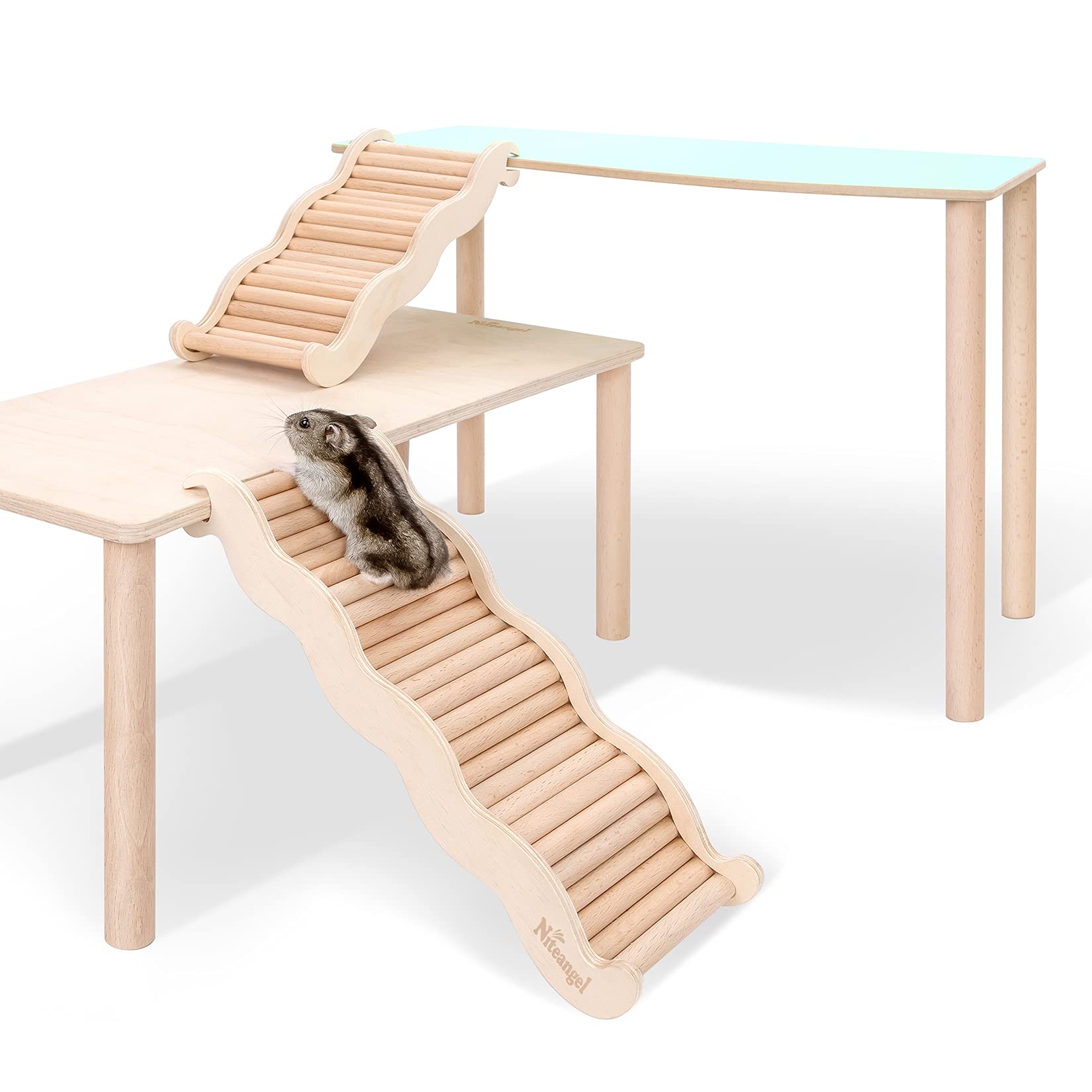 Niteangel decoracion-habitat crea un hogar atractivo para roedores pequeños