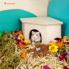 Niteangel decoration hamster bois dessin anime, ambiance ludique.