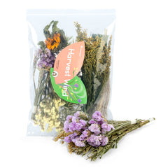 Niteangel flor natural para hamster: acolchado decorativo que aporta color y enriquecimiento sensorial.