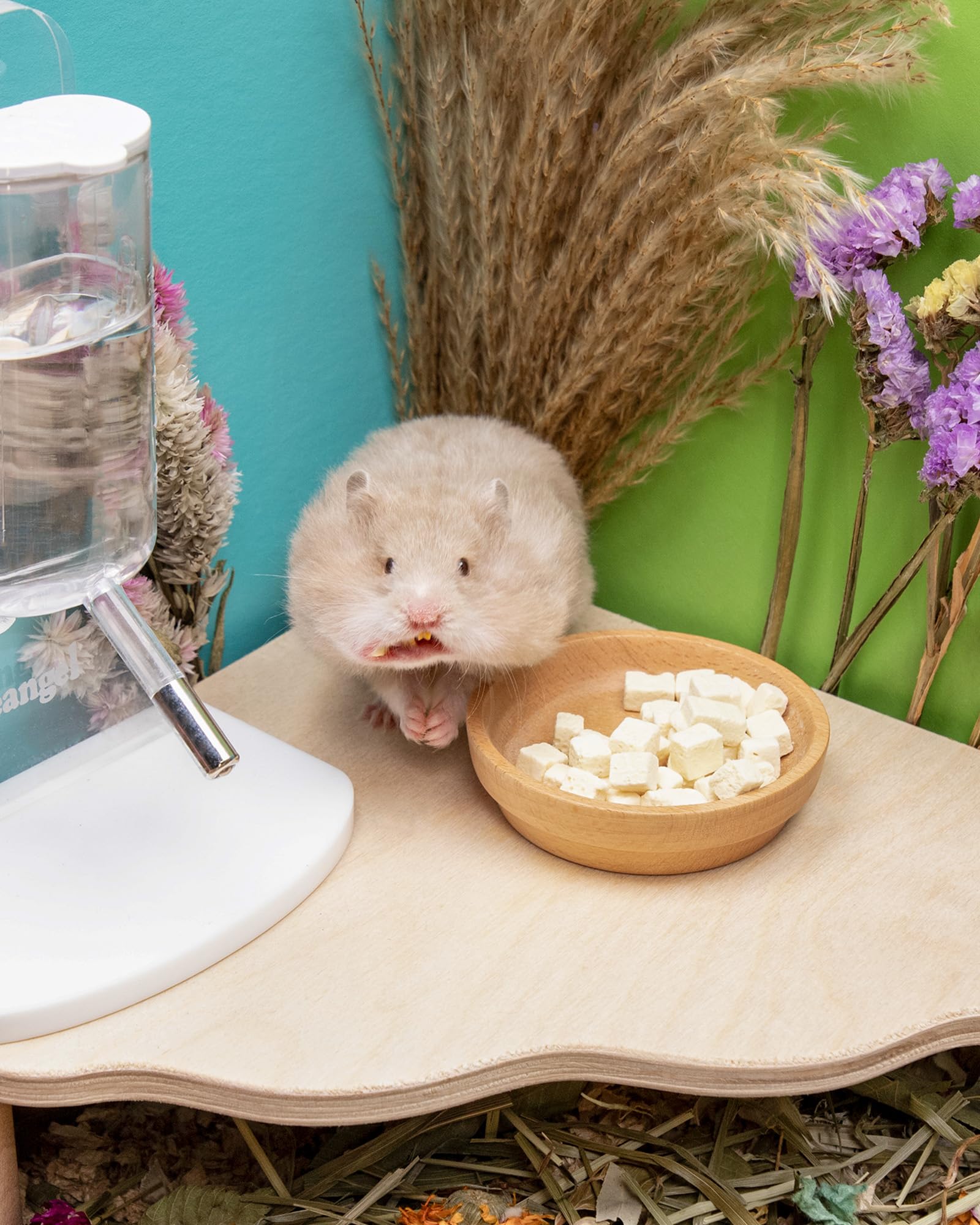 Niteangel Hamster Snack en mano, porciones convenientes para premiar.