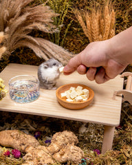Niteangel Hamster Snack tofu deshidratado 5mm en taza, servicio práctico.